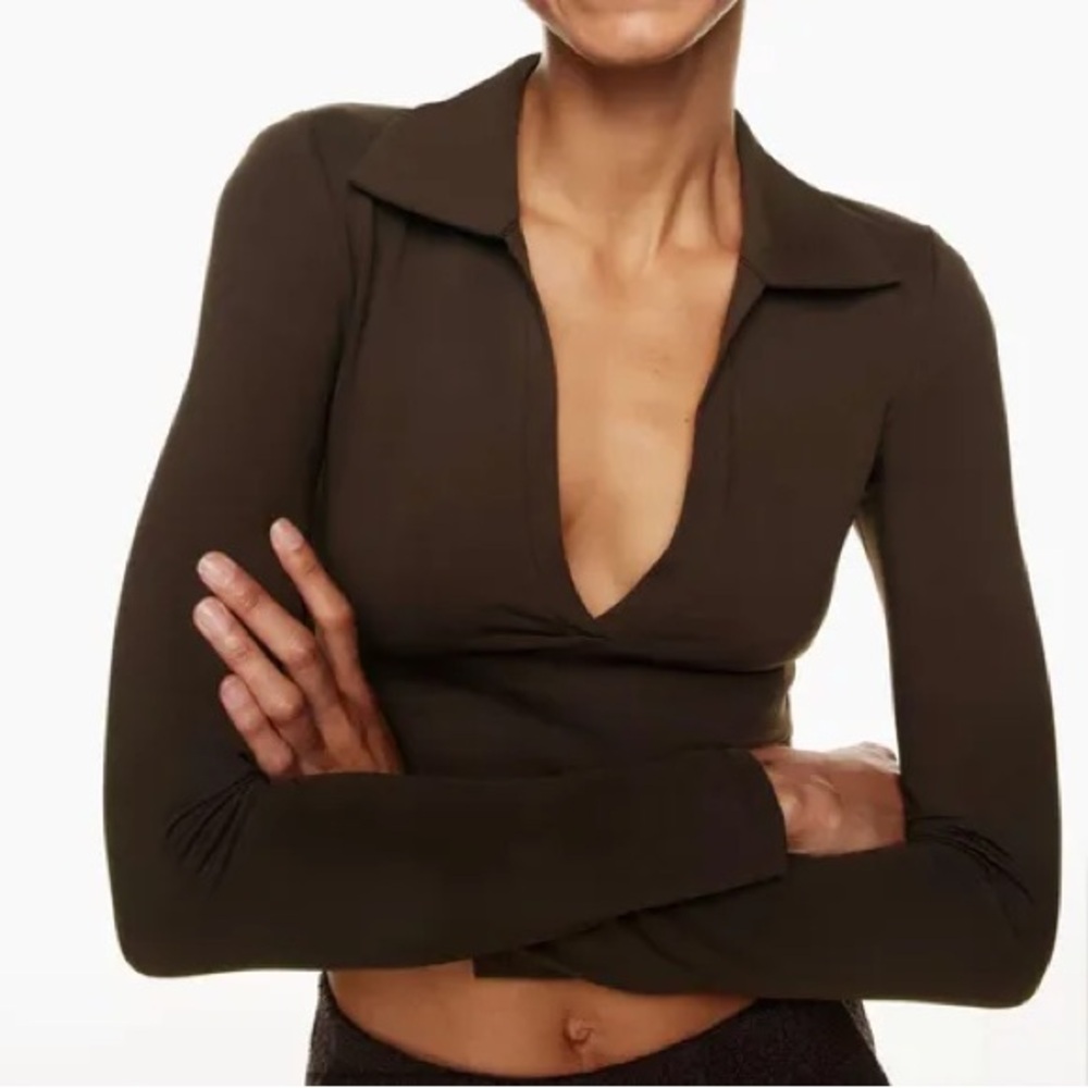 Aritzia Contour polo long sleeve